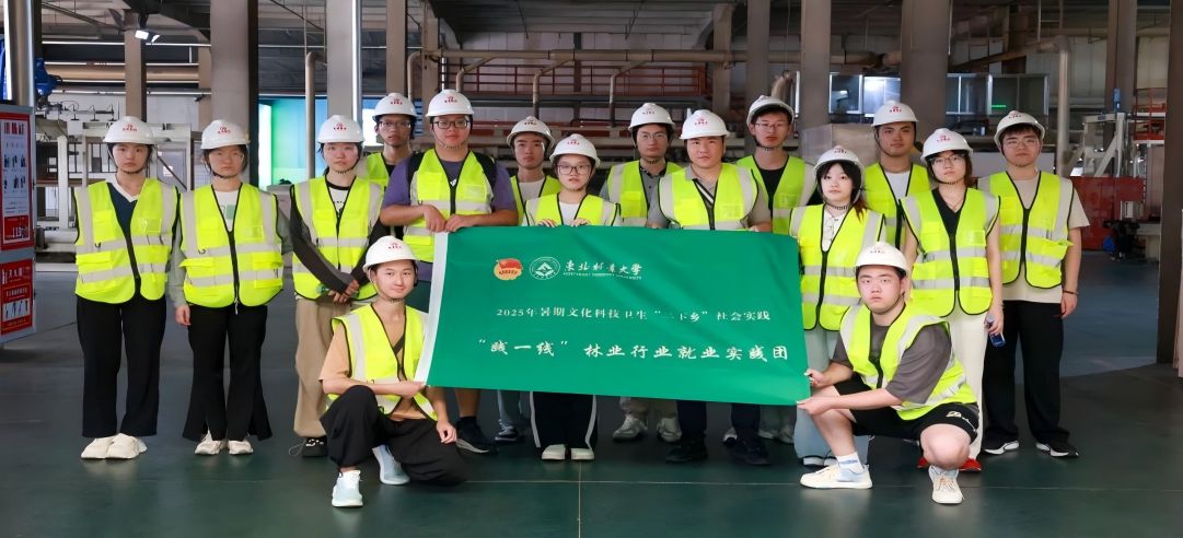 東北林業大學“踐一線”林業行業就業實踐團走進新港集團，共繪產教融合新圖景！